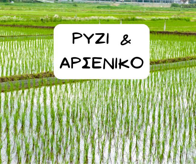 Ρύζι και αρσενικό